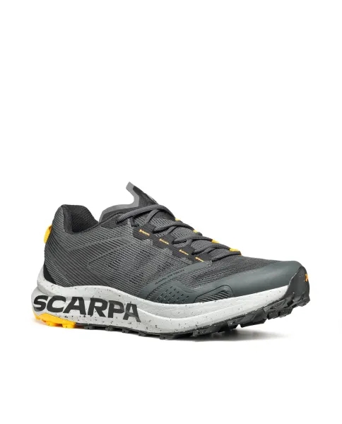 ANTHRACITE SAFFRON